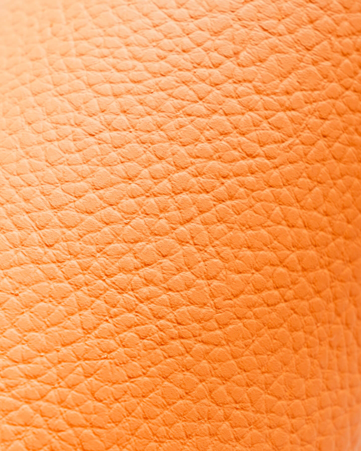 The Clog - Tangerine (VN)